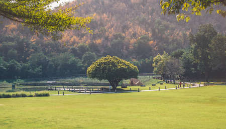 The garden is beautiful in a sunny morning with colorful mountains behind a pond at Kanchanaburi, Thailand.の写真素材