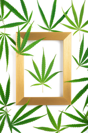 Marijuana leaves in a golden frame on isolated white background. The concept of the right use of cannabis.の写真素材