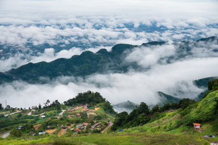 Scenery on the highest mountain in Phetchabun Province In the rainy season near winter, you can see the green nature and fog on the mountains in the morning, Phu Thap Boek in Thailand.の写真素材