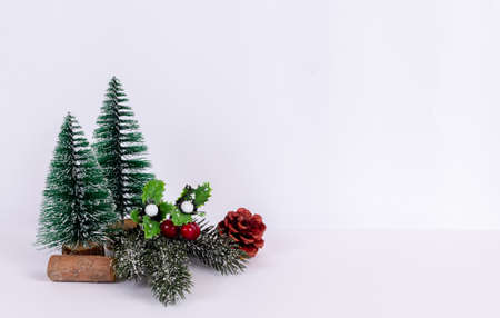 Close-up of two Christmas flowering trees isolated with a white backgroundの写真素材