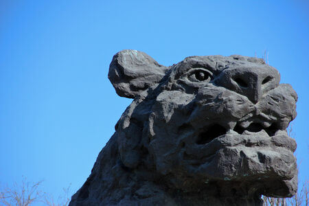 powerful &amp; thirst forの写真素材