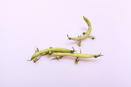 Naughty Bush beans with feet isolated on whiteの写真素材