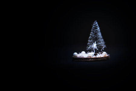 Christmas decoration, snowy fir tree with beads on wooden plate on black with text space.の写真素材