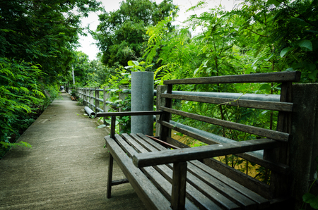 Wood benchの写真素材