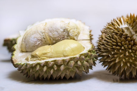 Cut open durian fruit with yellow fresh, a popular fruit in South East Asia.の写真素材