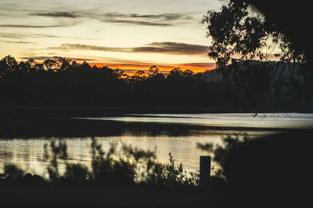 Early sunrise by the lake with trees and forestの写真素材