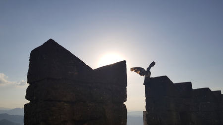 Bird in silhouette on castle wall in sunset timeの写真素材