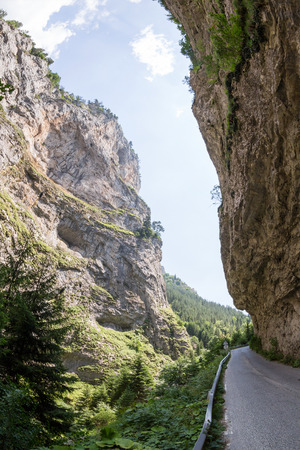 Narrow motor road in the gorge of the Rhodope Mountains, abundantly overgrown with deciduous and evergreen forest (Bulgaria)の写真素材