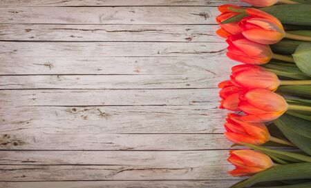 Row of tulips on wooden background with space for message. Top viewの写真素材