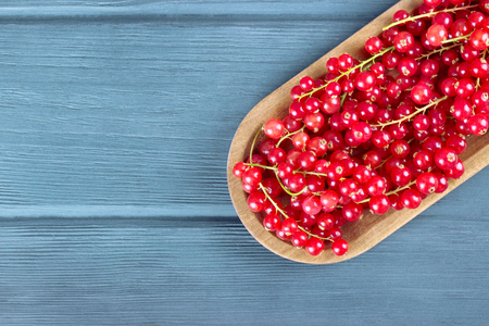 Ripe redcurrants in a wooden plate on a rustic wooden background, copy space.の写真素材