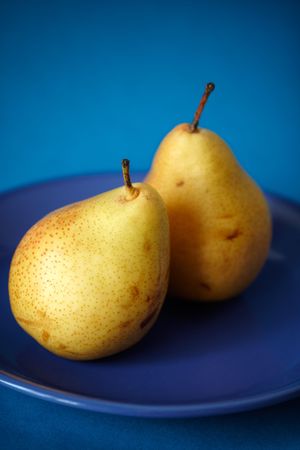 Natural pears on the blue plate,shallow focusの写真素材
