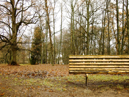 Wooden Bench in the Autumn Parkの写真素材