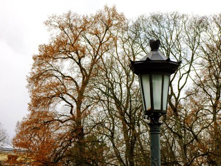 Decorative Luminaire in blurred Background of Trees