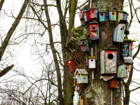 Closeup of many little Nesting-Boxes in truncated Tree in Park of Lithuaniaの写真素材