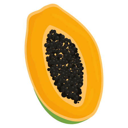 Isolated papaya on a white background. Half an orange papaya, cut. Ripe papaya with seeds. Label, poster, sticker, logo. Vector illustrationのイラスト素材