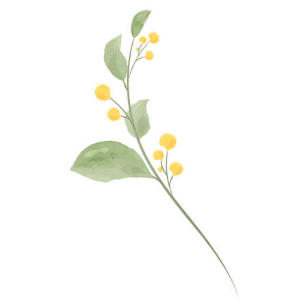 Flowering branch, watercolor design. Spring season. Isolated on white backgroundのイラスト素材