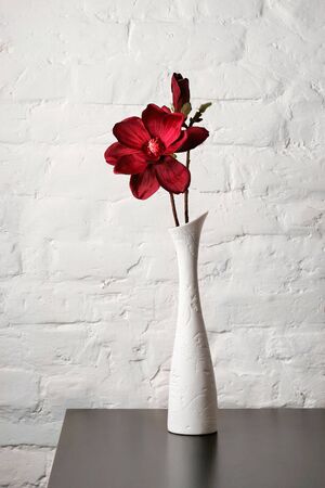 Flower in the white vase on the tableの写真素材
