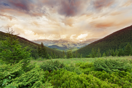 Image of a beautiful carpathian mountains  Chornohora massif in eastern Carpathians の写真素材