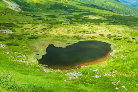 Image of a beautiful carpathian mountains  Chornohora massif in eastern Carpathians の写真素材
