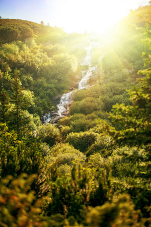Landscape of a waterfall in Carpathian mountains  Chornohora massif の写真素材