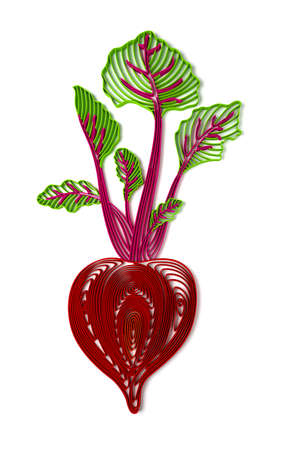 Quilling stylized 3D beetroot illustration over white