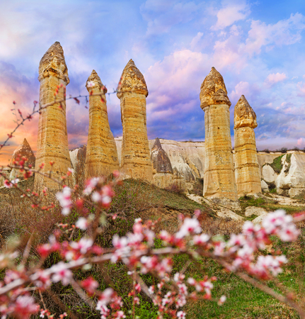 Spring in Love valley near Goreme, Turkeyの写真素材