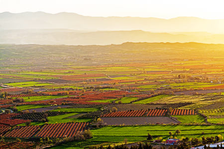 Beutiful sunset over colored agricultiral fieldsの写真素材