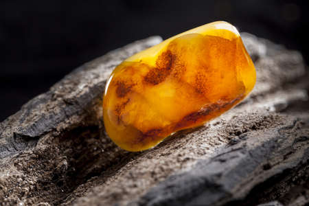 Natural amber. A piece of yellow opaque natural amber on large piece of dark stoned wood.の写真素材