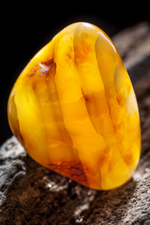 Natural amber. A piece of yellow opaque natural amber on large piece of dark stoned wood.の写真素材