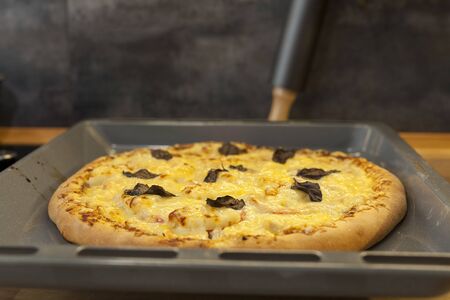 Baked quattro formaggi pizza in rectangular oven griddle.の写真素材