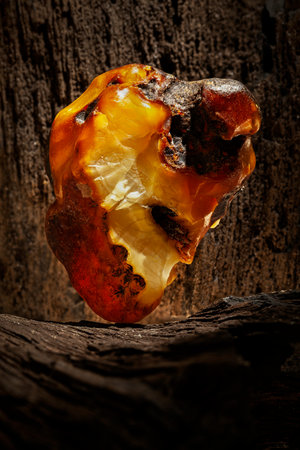 Beauty of natural raw amber. A piece of yellow opaque natural amber on large piece of dark stoned wood.の写真素材