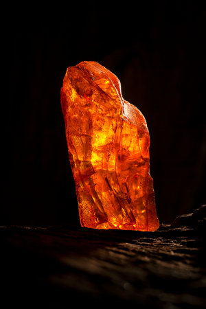 Beauty of natural raw amber. A piece of yellow-red transparent natural amber on piece of stoned wood