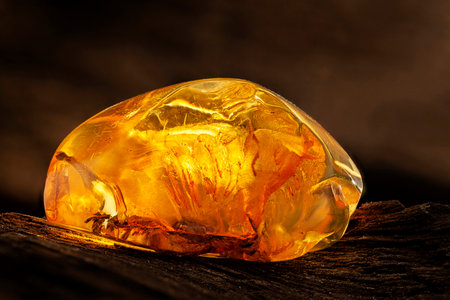 Beauty of natural raw amber. A piece of yellow transparent natural amber on piece of stoned woodの写真素材
