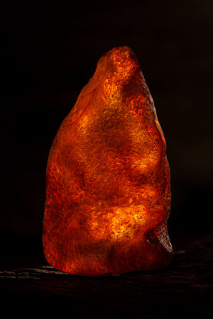 Beauty of natural raw amber. A piece of yellow-red transparent natural amber on piece of stoned wood
