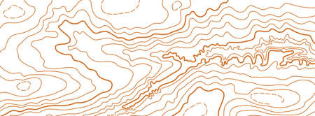 Abstract vector topographic map on white backgroundのイラスト素材