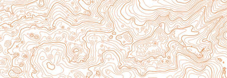Abstract vector topographic map on white backgroundのイラスト素材