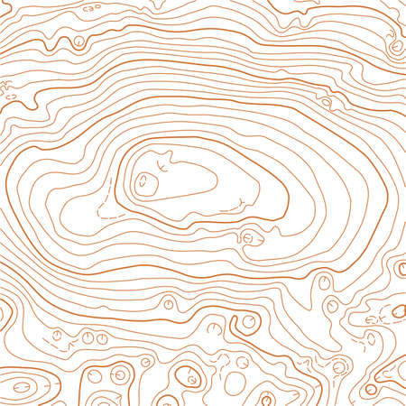 Abstract vector topographic map on white backgroundのイラスト素材