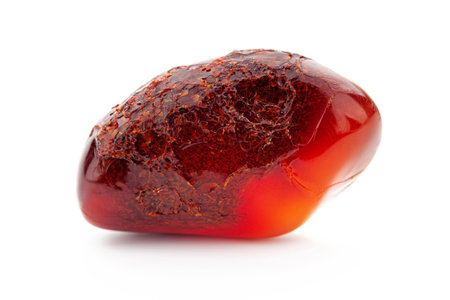 Natural amber. A piece of yellow opaque natural amber on white background.の写真素材