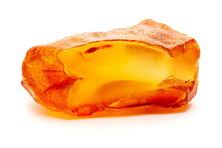 Natural amber. A piece of yellow opaque natural amber on white background.の写真素材