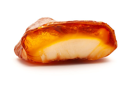 Natural amber. A piece of yellow opaque natural amber on white background.の写真素材