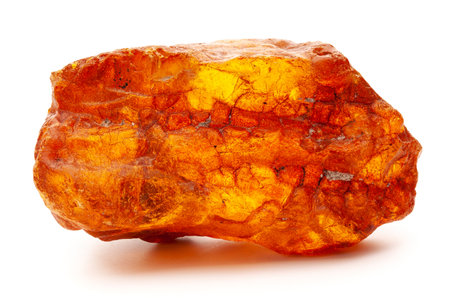 Natural amber. A piece of yellow opaque natural amber on white background.の写真素材