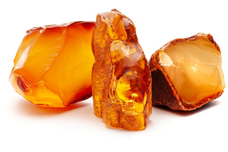 Natural amber. Pieces of yellow opaque natural amber on white background.の写真素材