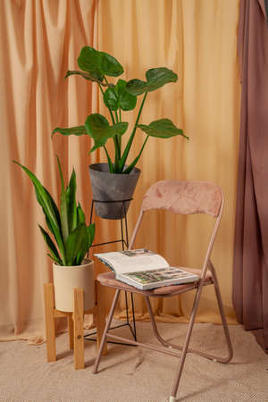 Still life with plants on a brown curtains background with book on the chair.の写真素材