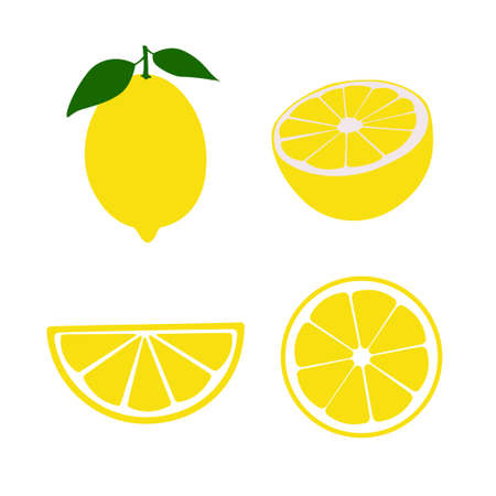 A set of lemons - lemon whole, slice, half.のイラスト素材