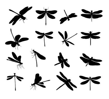 Dragonfly silhouettes, insects.のイラスト素材