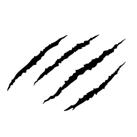 Vector black four trace of monster or bear claw, hand scratch ,rip through isolated on white background.のイラスト素材