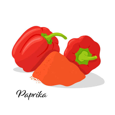 Pair red peppers and paprika vector illustration. Isolated on white background. Spicy seasoning for cooking in kitchen.のイラスト素材