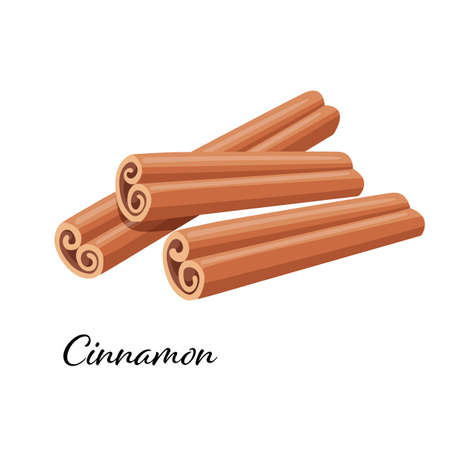 Three rolled sticks of cinnamon. Aromatic spice. Condiment for dishes. Detailed cartoon vector illustration isolated on white background.のイラスト素材
