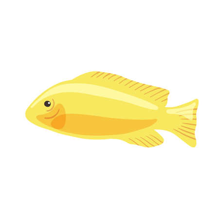 Golden yellow aquarium small fish. Vector illustration in cartoon style is isolated on white. backgroundのイラスト素材