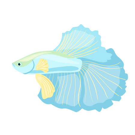 Blue aquarium small fish clipart. Vector illustration in cartoon style is isolated on white backgroundのイラスト素材